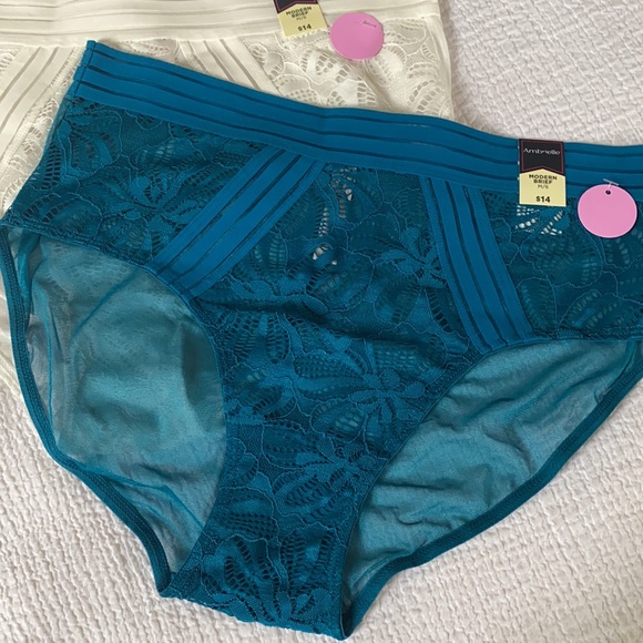 Set of 2 mesh&lace modern briefs NWT beautiful fit, flattering fit and details - Picture 2 of 4